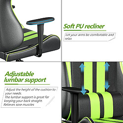 Acheter Fauteuil Gamer - BIGZZIA Chaise Gaming Ergonomique - Siège Gamer avec appui-tête et oreiller lombaires - Inclinable 90 °-135 ° -Noir et Vert