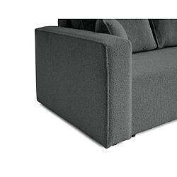 Acheter Bestmobilier Topaze - canapé 3 places - convertible avec coffre - en tissu bouclette