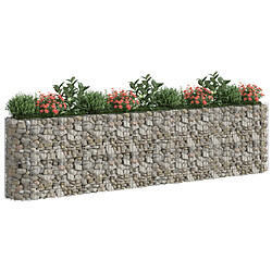 Avis Maison Chic Jardinière,Lit surélevé - Bac à fleurs - pot de fleur à gabion Fer galvanisé 400x50x100 cm -GKD90250