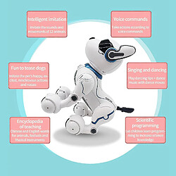 Avis Universal Animaux électroniques Animaux RC Robot Dog Voice Remote Control Toys Music Song Toy RC Toys | RC Animaux