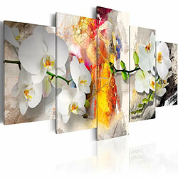 Paris Prix Tableau Imprimé Orchidée & Couleurs 50 x 100 cm 