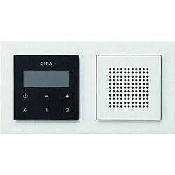 GIRA 049572 RDS radio encastrés avec E2 cadre E2 blanc / blanc pur 