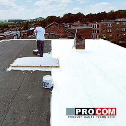 Acheter PRO COM Peinture toiture étanche Cool Roof, peinture réfléchissante blanche, anti chaleur PROCOM-2.5 litres-Blanc