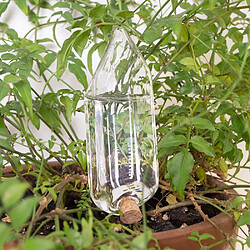 Kikkerland Cristal irrigant pour plantes