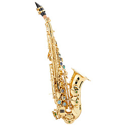 Lechgold LSS-20Lc saxophone soprane laqué