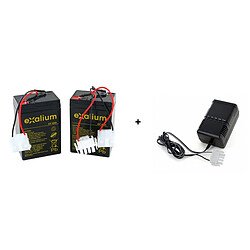 2 Batteries Plomb 6V 4AH Pour Bateaux Amorceur Pac Boat Anatec + Chargeur automatique ALCS 2-24A (sans pinces) 