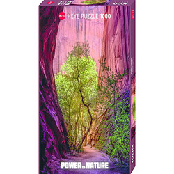 Heye - PUZZLE 1000 pièces - POWER OF NATURE SINGING CANYON