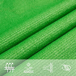 Acheter vidaXL Voile d'ombrage 160 g/m² Vert clair 2x2 m PEHD