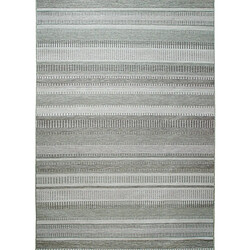 Thedecofactory LAGUNA BAY - Tapis d'extérieur/intérieur motifs lignes vert 160x230