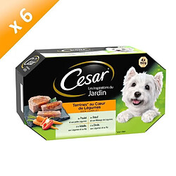 César Barquettes en terrine coeur de légumes 4 x 150 g (x6)