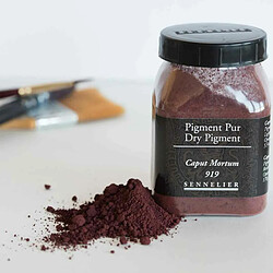 Avis Raphael Pigment pour création de peinture - pot 170 g - Brun Caput mortuum