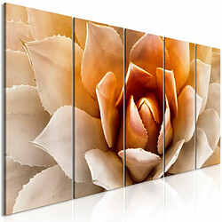 Paris Prix Tableau Imprimé 5 Panneaux Agave Narrow Orange 90 x 225 cm 