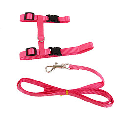 Réglable Chat Nylon De Ceinture Laisse Collier Harnais De Sécurité Sangle Corde Rose 1x Cat Harnais