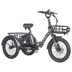 Tricycle électrique FAFREES F20 Mate, moteur sans balais 500 W, batterie 48 V/18,2 Ah, gros pneus 20 x 3,0 pouces - Gris