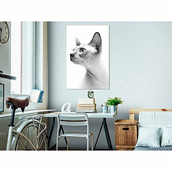 Paris Prix Tableau Imprimé Hairless Cat 40 x 60 cm