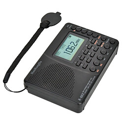 Universal Radio numérique LCD FM AM SW radio magnétophone haut-parleur Bluetooth interne batterie rechargeable support carte mémoire pas cher