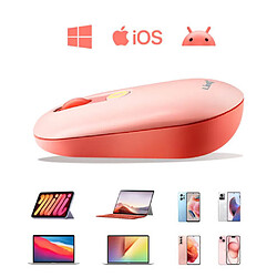 Acheter Souris Bluetooth LinQ + Dongle USB, Rose