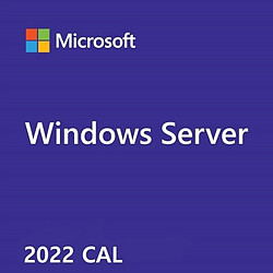 Microsoft OEM Win CAL 2022 User ENG 1Clt R18-0644 