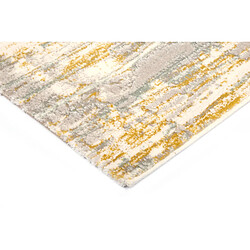 Hadorn Tapis 150x80 beige Royal Blast pas cher