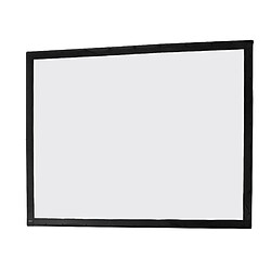 Toile 244 x 183 cm pour Ecran de projection sur Cadre celexon "Mobile Expert"