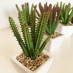 Acheter Wellhome Lot de 6 Cactus cardon Assortis artificiels et Pot en céramique 12 x 8 x 8 cm