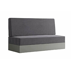 Inside 75 Armoire lit escamotable GENIUS SOFA gris mat canapé gris couchage 160*200 pas cher