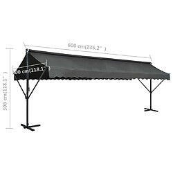 vidaXL Auvent sur pied 600 x 300 cm Anthracite pas cher