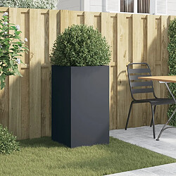 Avis Maison Chic Jardinière,Bac à fleurs - pot de fleur anthracite 42x38x75 cm acier laminé à froid -GKD47814