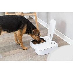 TRIXIE Distributeur automatique d'aliments pour animaux TX2 24372 