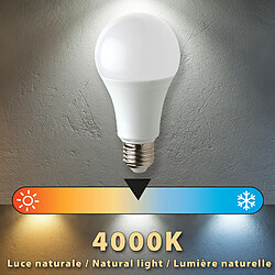 Acheter VELAMP Ampoule LED SMD, standard A60, 15W / 1520lm, culot E27, 4000K