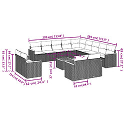 Avis vidaXL Salon de jardin avec coussins 14 pcs gris résine tressée