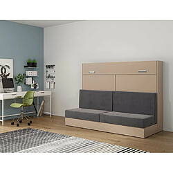 Avis Inside 75 Armoire lit escamotable VERTIGO SOFA taupe canapé gris couchage 140*200 cm