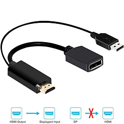 Avis Universal Adaptateur adaptateur HDMI mâle à DP Display Port alimenté par USB 4K | Câble HDMI