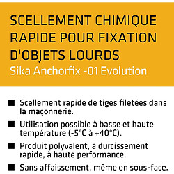 Sika Anchorfix 01 Evolution, Scellement chimique rapide pour Fixation d'objets lourds, Ton Pierre, 165ml