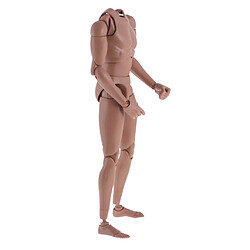 Acheter 1: 6 Articulation à Rotule Flexible Nue Musclée 12 `` Figurine Masculine Body Doll DIY