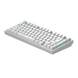 Avis Dark Project ALU Terra Nova, Blanc - Clavier Mécanique Gaming Sans Fil ANSI (ENG)