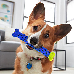 Shop Story SHOP-STORY - CHEWBRUSH : L'os à Mâcher Anti-Tartre pour Chien