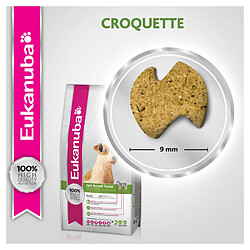 Croquettes pour chien