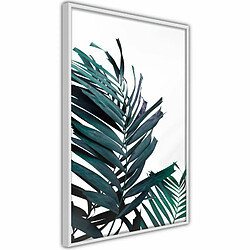 Paris Prix Affiche Murale Encadrée Evergreen Palm Leaves 30 x 45 cm Blanc