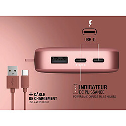 SANAG Powerbank 18000 Mah - Usb-C In & Out - Batterie Externe - Chargement Rapide - 6 Fonctions De Sécurité - Design Compact (Safari Red) pas cher