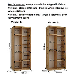 Abiks Meble Armoire à portes coulissantes Davos 3 235.2 x 120 x 45 2 portes coulissante (Noir/Noir/Or) pas cher