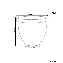 Avis Lot de 2 cache-pots Beliani TESALIA