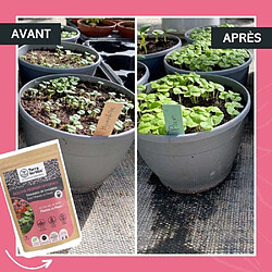 Acheter Terra Fertilis Fertilisant plantes et fleurs à base de mycorhizes 500 gr.