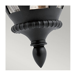 Avis Elstead Lighting Applique murale extérieur Admirals Verre Noir texturé