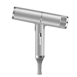 Universal Sèche-cheveux à sec puissant en T 1200W Thermostat à sec rapide 3 boutons de soufflage avec flocons de neige indépendants