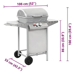 vidaXL Barbecue à gaz avec 2 zones de cuisson Acier Argenté pas cher