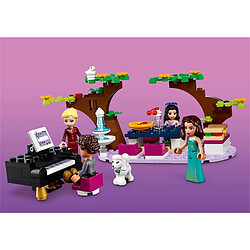 Acheter LEGO Friends Le grand hôtel de Heartlake City