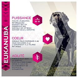 Acheter Eukanuba - Croquettes Breed Specific pour Labrador Retriever - 12Kg