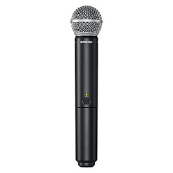 Microphone de chant