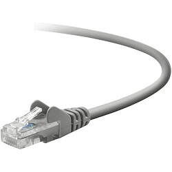 Belkin - Câble RJ45 1m UTP CAT5 Moulé gris